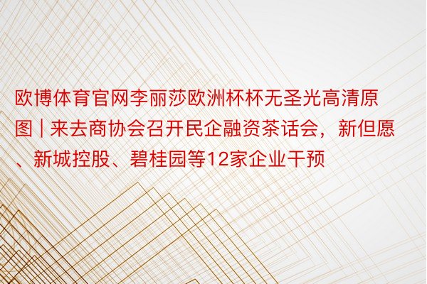 欧博体育官网李丽莎欧洲杯杯无圣光高清原图 | 来去商协会召开民企融资茶话会，新但愿、新城控股、碧桂园等12家企业干预