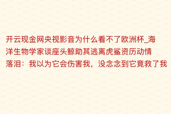 开云现金网央视影音为什么看不了欧洲杯_海洋生物学家谈座头鲸助其逃离虎鲨资历动情落泪：我以为它会伤害我，没念念到它竟救了我