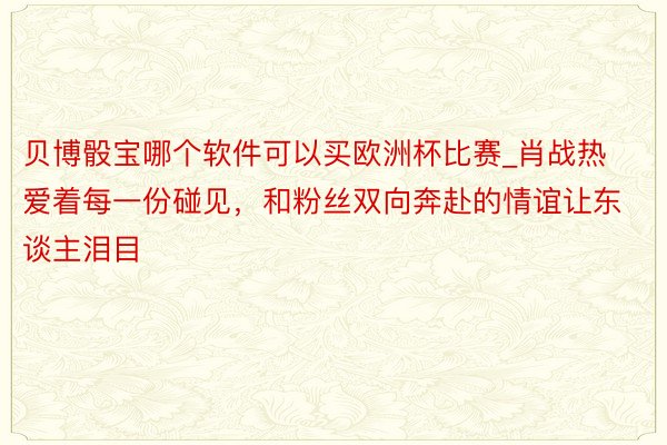 贝博骰宝哪个软件可以买欧洲杯比赛_肖战热爱着每一份碰见，和粉丝双向奔赴的情谊让东谈主泪目