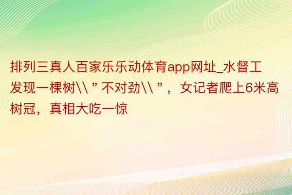 排列三真人百家乐乐动体育app网址_水督工发现一棵树\＂不对劲\＂，女记者爬上6米高树冠，真相大吃一惊