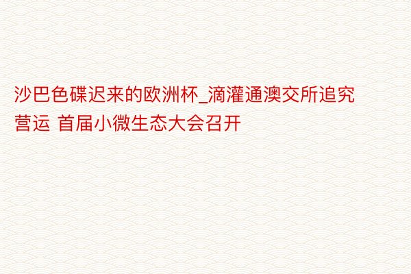 沙巴色碟迟来的欧洲杯_滴灌通澳交所追究营运 首届小微生态大会召开