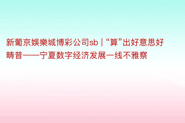 新葡京娛樂城博彩公司sb | “算”出好意思好畴昔——宁夏数字经济发展一线不雅察