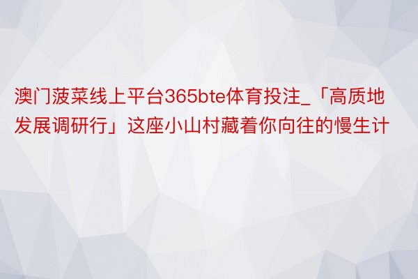 澳门菠菜线上平台365bte体育投注_「高质地发展调研行」这座小山村藏着你向往的慢生计